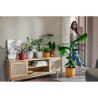 ELHO Lot de 3 pots de fleur rond Jazz - Ø14xH13,1, Ø16xH15,3, Ø19