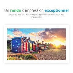 LEXMARK Développer - 700D4 - 40.000 pages - Pack de 1 - Jaune
