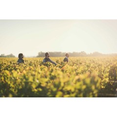 Château Fonréaud La Légende 2017 Haut-Médoc - Vin rouge de Bordeau