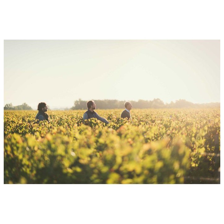 Château Fonréaud La Légende 2017 Haut-Médoc - Vin rouge de Bordeaux