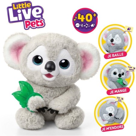 Peluche interactive - LITTLE LIVE PETS - Bébé Koala - Sons - Réacti