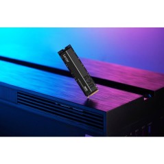 LEXAR - NM620 - Disque dur SSD - 1 To - M.2 2280 PCIe Gen 3x4