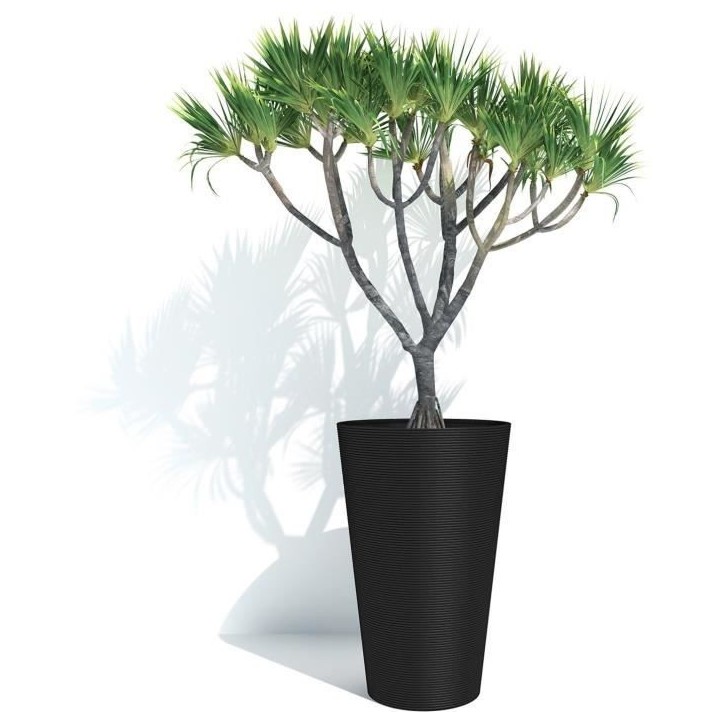 Pot de fleurs haut - GARDEN ID - Green Care Sense Haut Noir-Anthr. - 55 cm - Garanti 10 ans - 100% recyclé - Résistance UV et