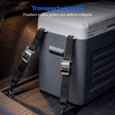 Glaciere électrique - MEDION - MD370027 - Réfrigérante - Congélati