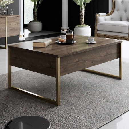Table basse - LUXE - Walnut Gold - Rectangulaire - Panneaux mélaminés et métal - Noyer et doré - Style chic - 90x60x40 cm