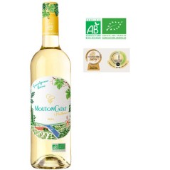 Mouton Cadet Nathan 2025 Bordeaux Sauvignon - Vin blanc de Bordeaux -