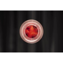 Set 2 gobelets BODUM - Pavina To Go - Double paroi plastique - Couverc