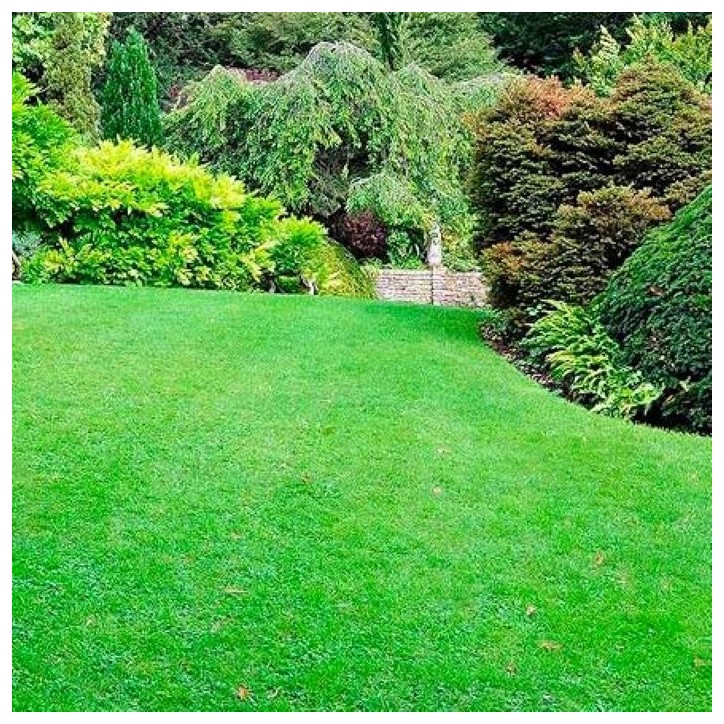 Engrais gazon organique 2.5 kg - FERTILIGENE - NATGAZ1C Engrais gazon organique 2.5 kg - FERTILIGENE - NATGAZ1C