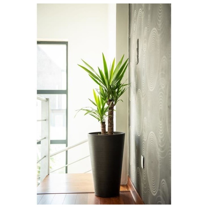 Pot de fleurs haut - GARDEN ID - Green Care Sense Haut Noir-Anthr. - 55 cm - Garanti 10 ans - 100% recyclé - Résistance UV et