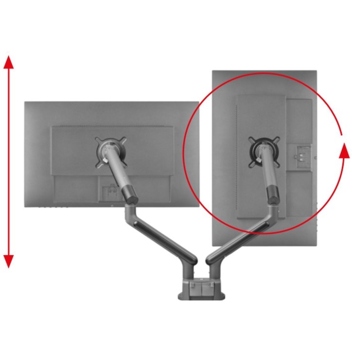 Support moniteur Dynamic - ONE FOR ALL - Vesa 100 - Double Bras - 13 et 32'' - 8kgs max - Hauteur réglable - Noir Support moniteur Dynamic - ONE FOR ALL - Vesa 100 - Double Bras - 13 et 32'' - 8kgs max - Hauteur réglable - Noir