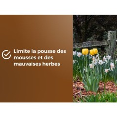 Paillage Massifs & Fleurs - OR BRUN - OBRPCLA6U - 6L - Plaquettes de b