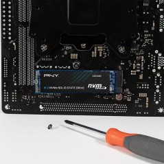 PNY - CS1030 - SSD interne NVMe - 2 To - M.2