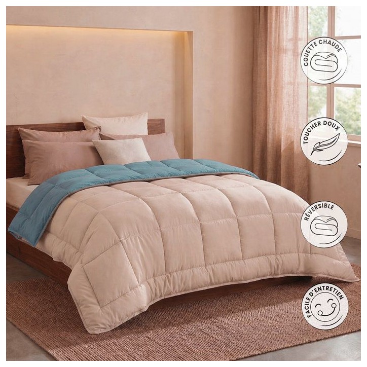 CALGARY - Couette Chaude Microfibre 400gr/m² - Beige Galet & Vert Lac - 220 x 240 cm