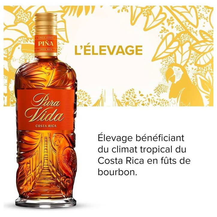 Pura Vida - Piña - Rhum - 37,5% Vol. - 70cl