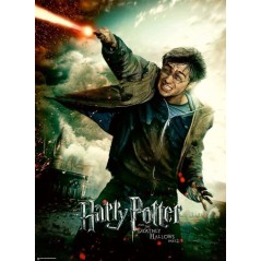 Puzzle Harry Potter 100 pieces XXL - Le monde fantastique d'Harry Pott