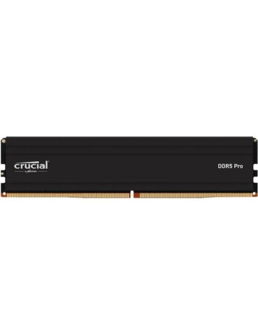 Mémoire RAM - CRUCIAL - PRO DDR5 - 24Go - DDR5-6000 - UDIMM CL48 (CP24G60C48U5)