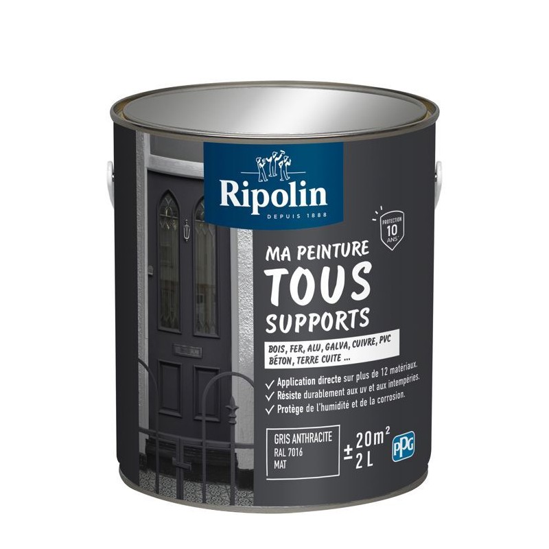Peinture multi-supports - Gris anthracite - RAL 7016 - Mat - Ripolin -