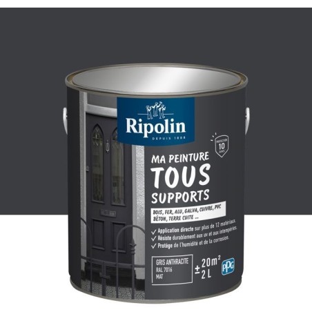 Peinture multi-supports - Gris anthracite - RAL 7016 - Mat - Ripolin - 2L