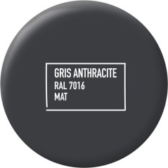 Peinture multi-supports - Gris anthracite - RAL 7016 - Mat - Ripolin -