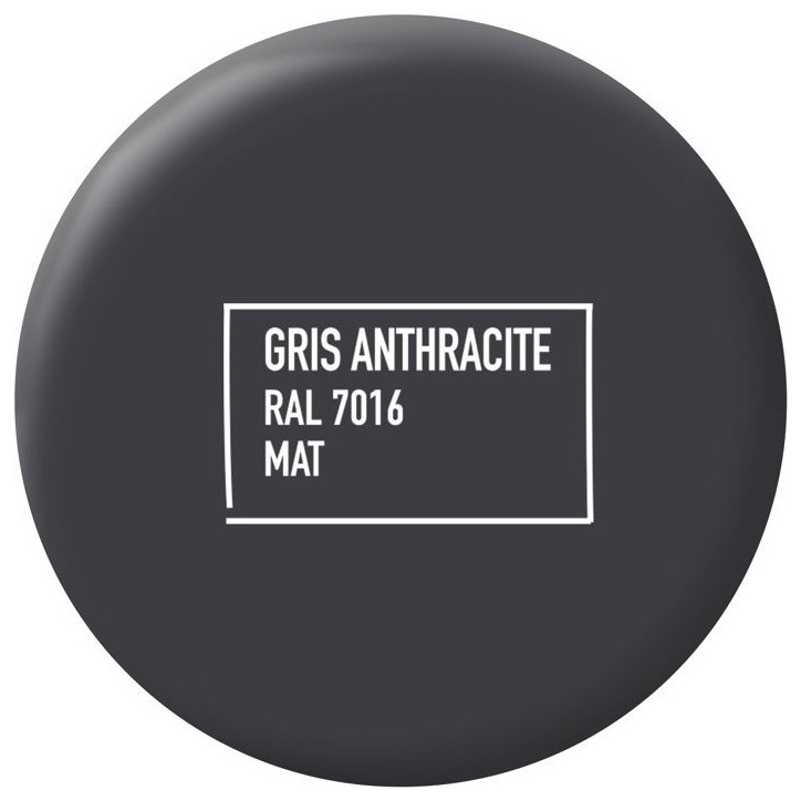 Peinture multi-supports - Gris anthracite - RAL 7016 - Mat - Ripolin - 2L Peinture multi-supports - Gris anthracite - RAL 7016 - Mat - Ripolin - 2L