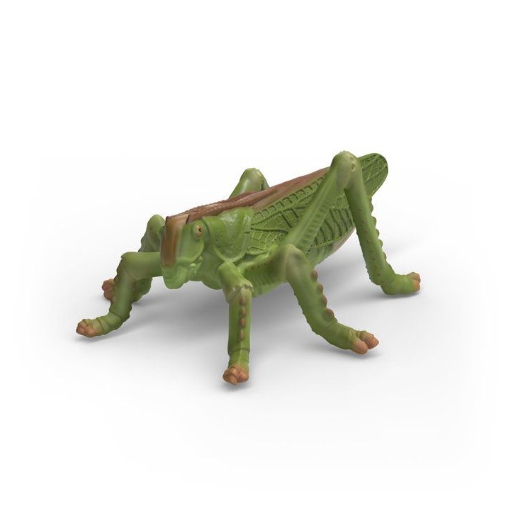 Figurines Set découverte : les insectes - SCHLEICH 42741 - Gamme Wild Life