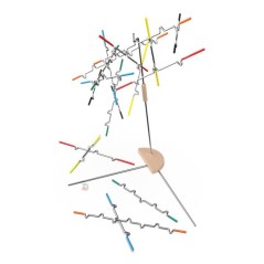Suspend - Jeu d'Équilibre Familial - 24 Tiges Colorées - SPIN MASTER
