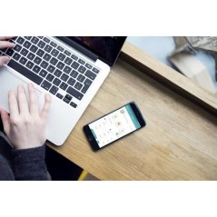 SUREFLAP Grande Chatiere a Puce électronique Connect avec Hub