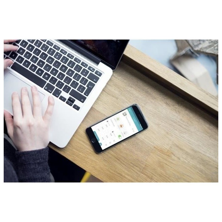 SUREFLAP Grande Chatiere a Puce électronique Connect avec Hub SUREFLAP Grande Chatiere a Puce électronique Connect avec Hub