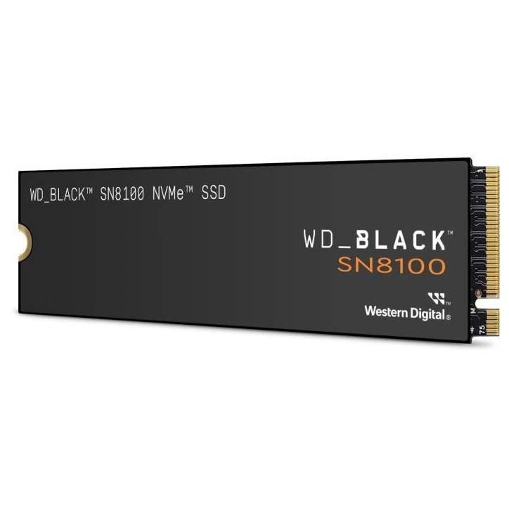 WESTERN DIGITAL - WDS100T1XHM - SSD Interne - Black - SN8100 - NVMe - Avec dissipateur thermique - 1 To