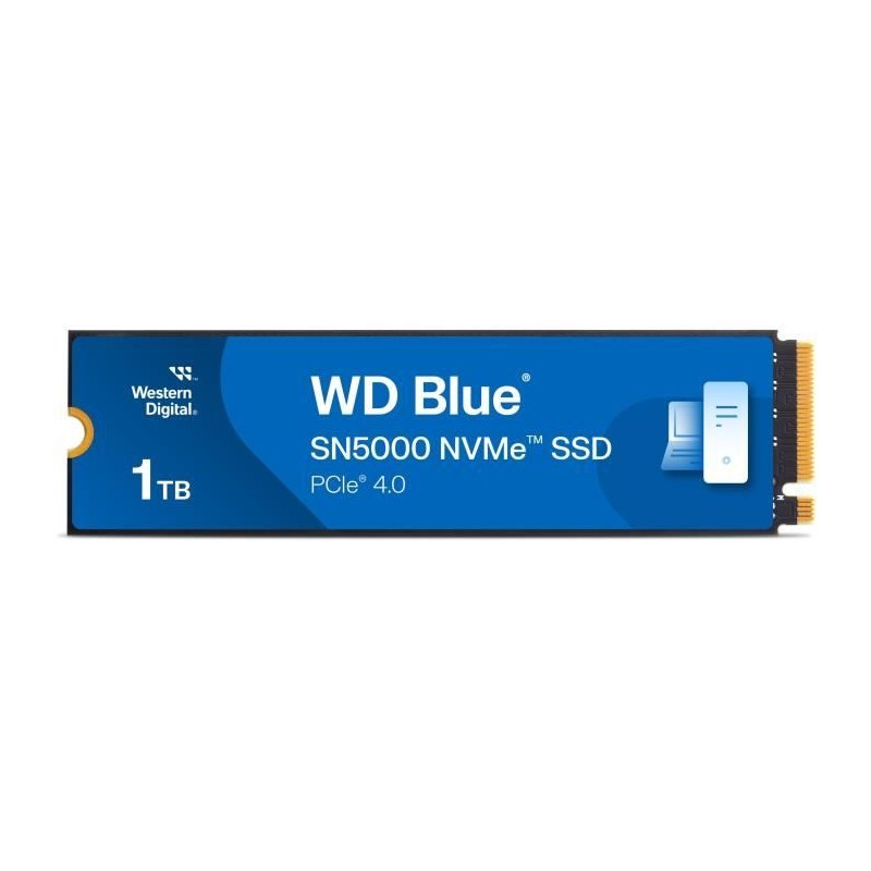 WESTERN DIGITAL - WDS100T4B0E - Disque dur SSD Interne - 1 To - WD B