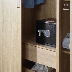Coffre-fort Électronique a Alarme - YALE - YEC/250/DB2 - Medium 16.3L - 25x35x25cm