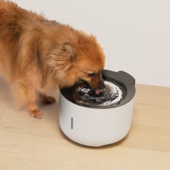 Fontaine a eau pour chiens - ZEUS - Oasis - Capacité 3 L