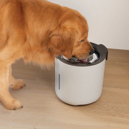 Fontaine a eau pour chiens - ZEUS - Oasis - Capacité 6 L