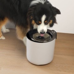 Fontaine a eau connectée pour chiens - ZEUS - Oasis Plus - Capacité 6 L - Purification UVC - Wi-Fi