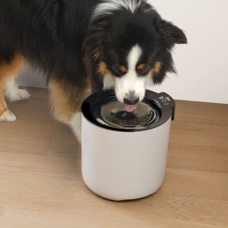 Fontaine a eau connectée pour chiens - ZEUS - Oasis Plus - Capacité 6 L - Purification UVC - Wi-Fi