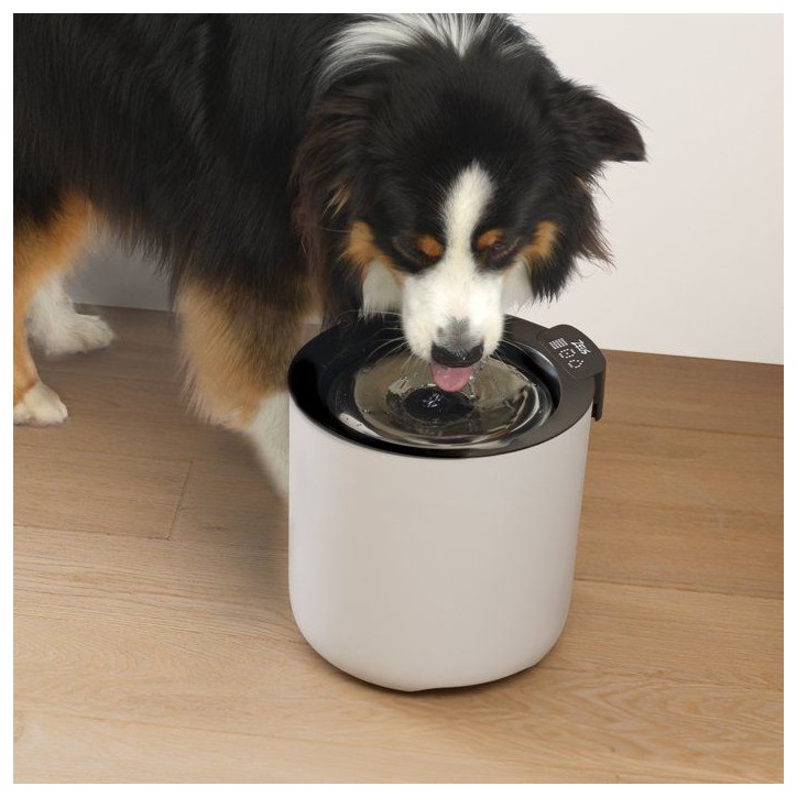 Fontaine a eau connectée pour chiens - ZEUS - Oasis Plus - Capacité 6 L - Purification UVC - Wi-Fi