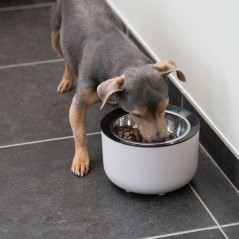 Gamelle lestée pour chiens - ZEUS - Oasis - Capacité 570 mL