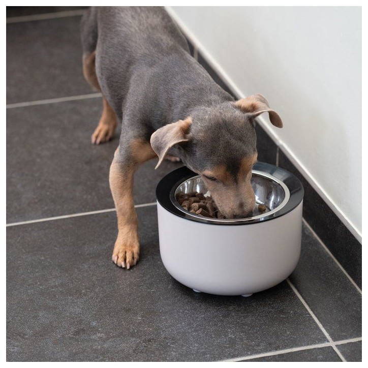 Gamelle lestée pour chiens - ZEUS - Oasis - Capacité 570 mL