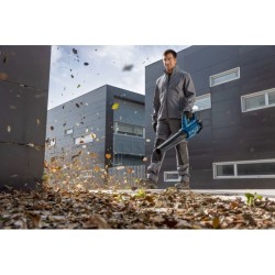Bosch Professional 18V Souffleur GBL 18V-750 (780 m³/h, vitesse d'air
