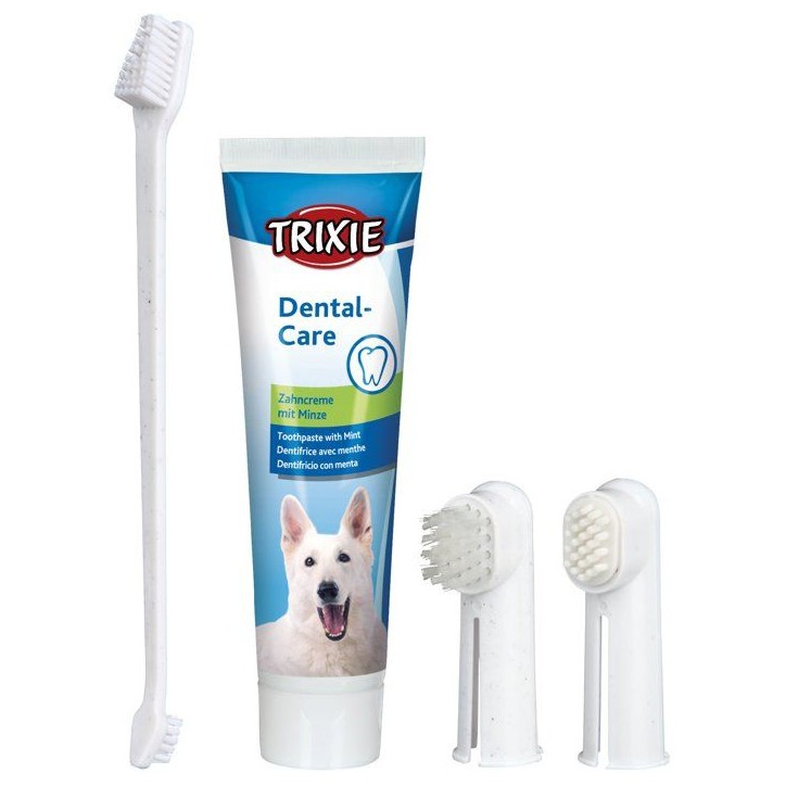 Set hygiene dentaire chien