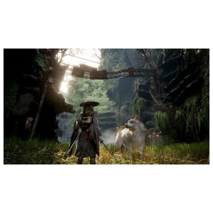 Beast of Reincarnation – Jeu PS5