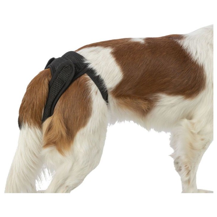 Slip protection chien - Comfort S-M - 35–43 cm - noir