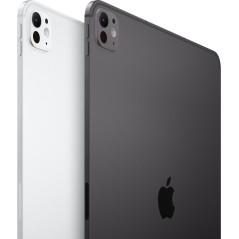 APPLE - iPad Pro M5 - 11" - Wi-Fi + Cellular - 1 To - Verre standard - Silver
