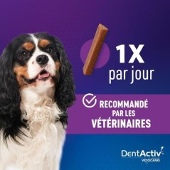 DentActiv - 12 Bâtonnets - VETOCANIS - Mini Bâtonnets Hygiène Bucco
