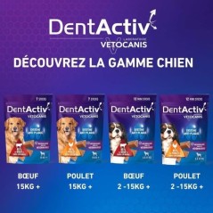 DentActiv - 12 Bâtonnets - VETOCANIS - Mini Bâtonnets Hygiène Bucco