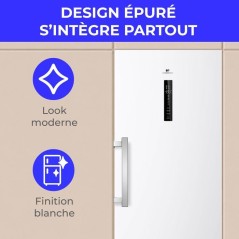Congélateur armoire - CONTINENTAL EDISON - CECUF300NFWD - 329 L - Cla