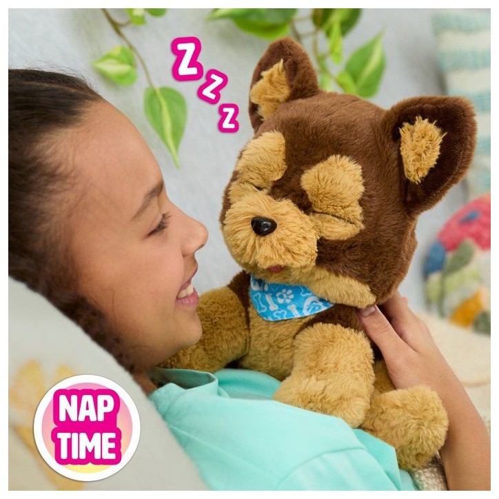 Peluche interactive chien - furReal Friends - Benny le chiot câlin - Plus de 30 sons et réactions - Accessoire friandises Peluche interactive chien - furReal Friends - Benny le chiot câlin - Plus de 30 sons et réactions - Accessoire friandises