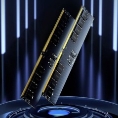 Barrette Mémoire - LEXAR - DDR5 16 Go - 262 PIN U-DIMM - 5600 Mbps CL46 - 1.1 V - Blister