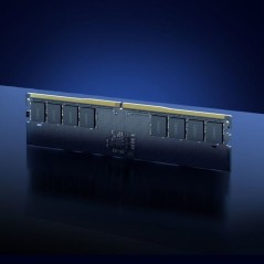 Barrette Mémoire - LEXAR - DDR5 16 Go - 262 PIN U-DIMM - 5600 Mbps CL