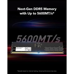 Barrette Mémoire - LEXAR - DDR5 8 Go - 262 PIN U-DIMM - 5600 Mbps CL4